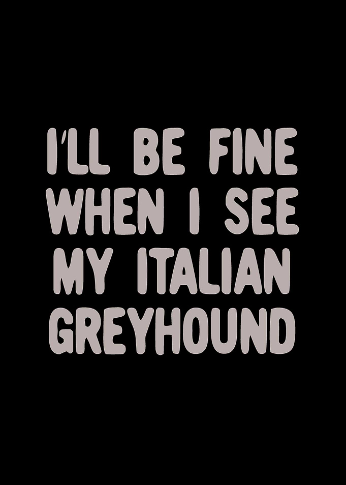 Italian Greyhound