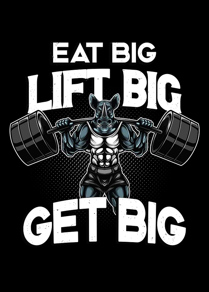 Bodybuilding Rhino Gym