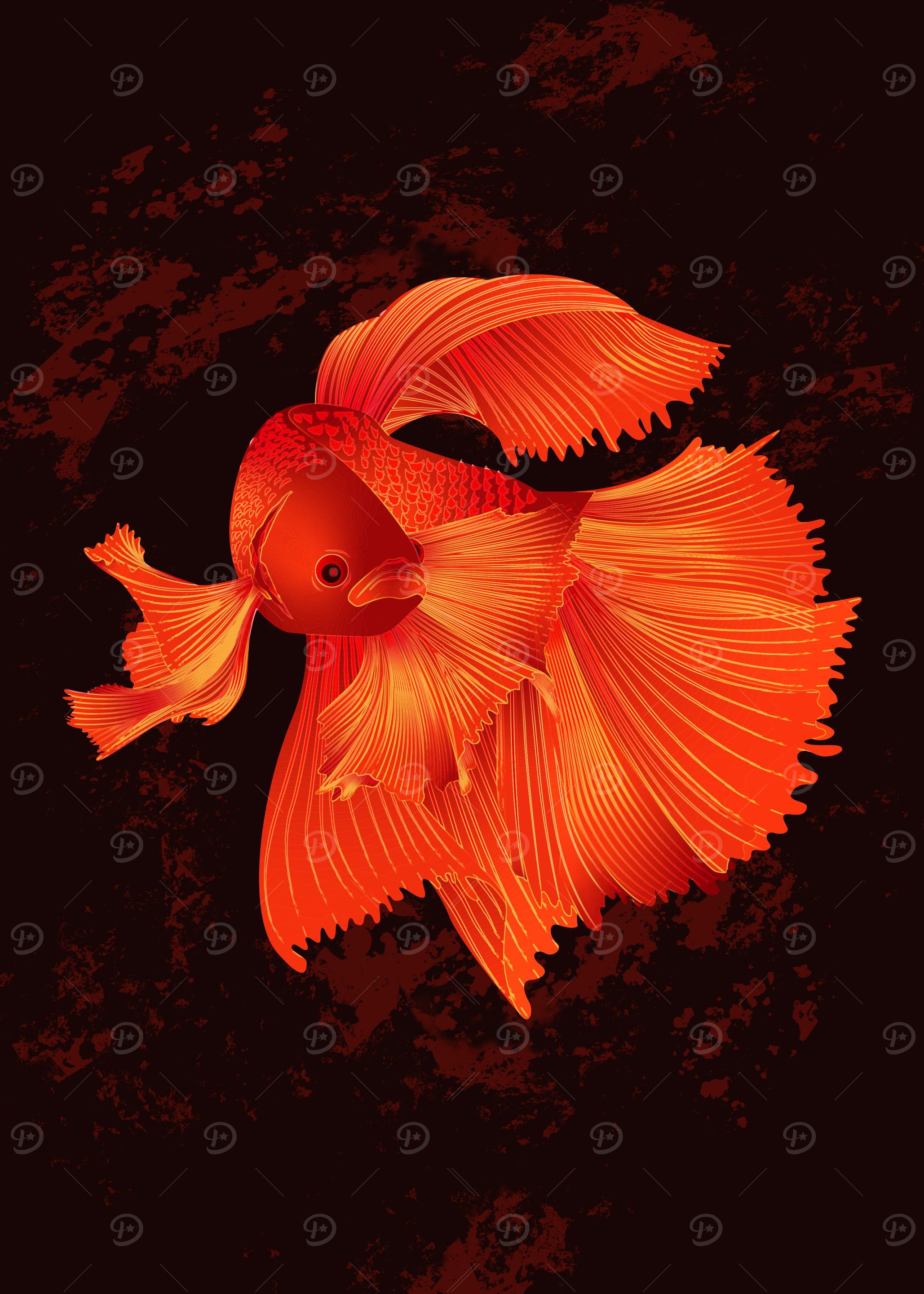 Siamese Fighting Fish 3