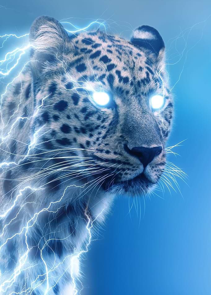 Thunder