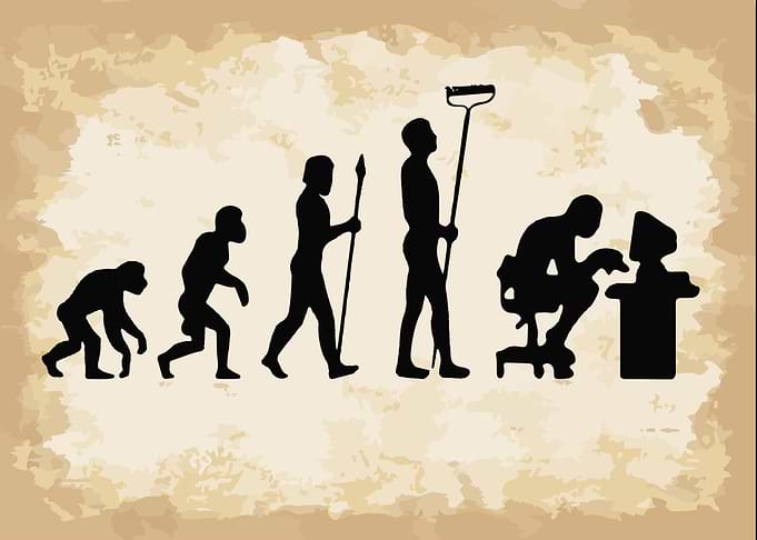 Monkey to Programmer Coder