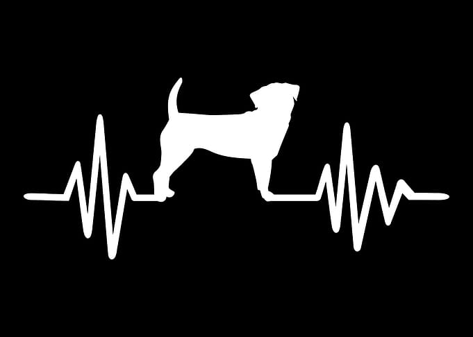 Puggle