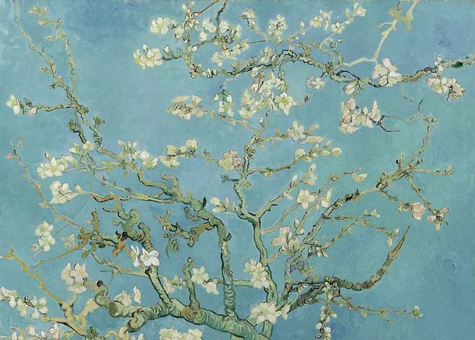 Almond Blossoms Van Gogh