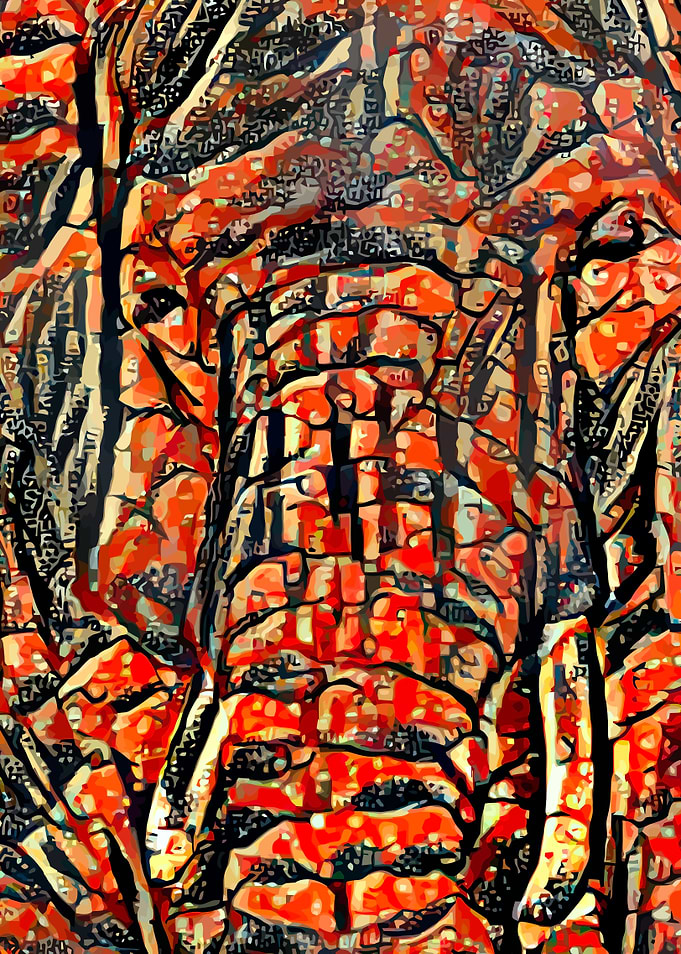 Elephant Abstract Africa