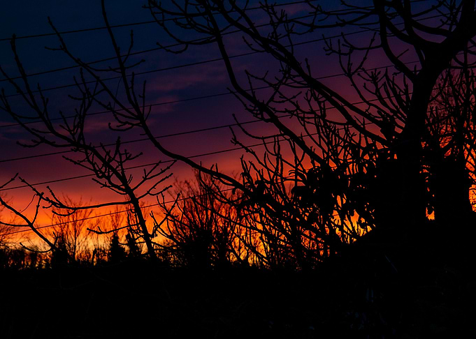 red sky