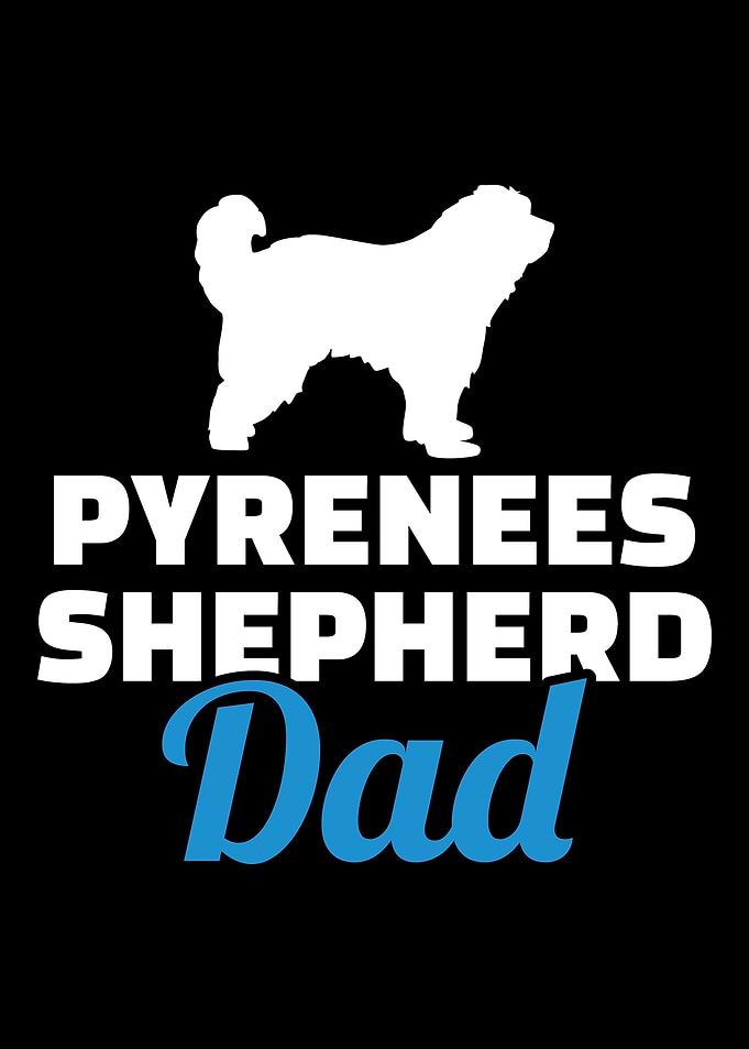 Pyrenees Shepherd