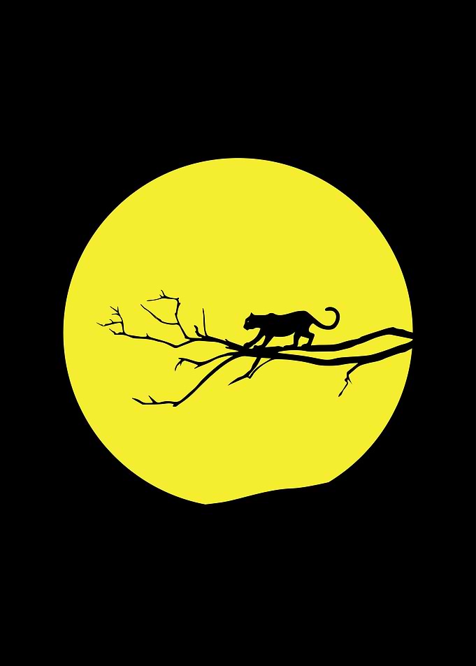 Silhouette Cat
