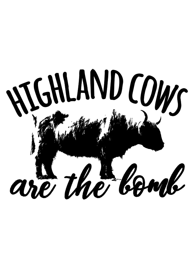 Highland cows