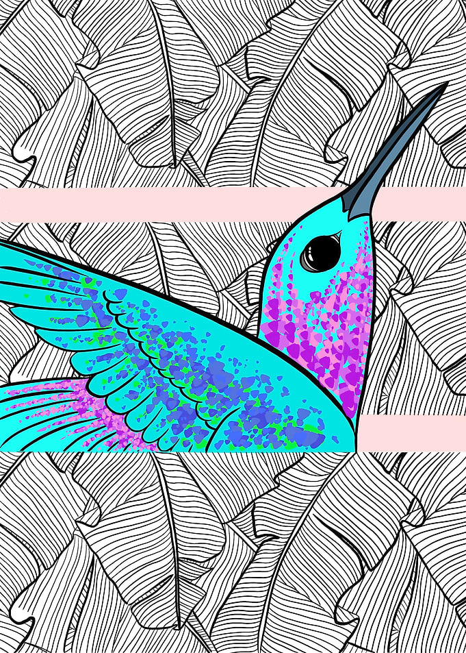 Colibri