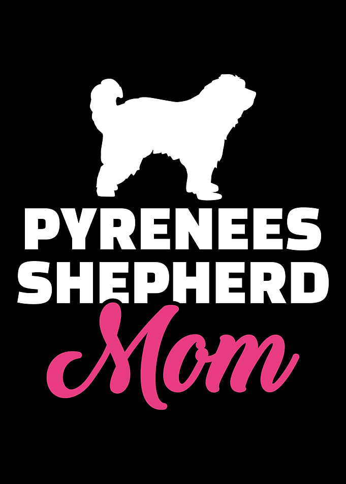 Pyrenees Shepherd