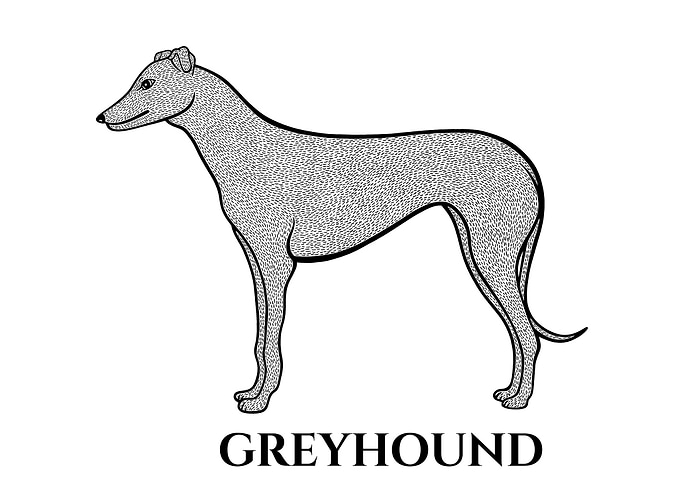 Greyhound Dog with Names