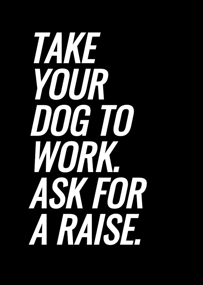 Take Your Dog To Work
