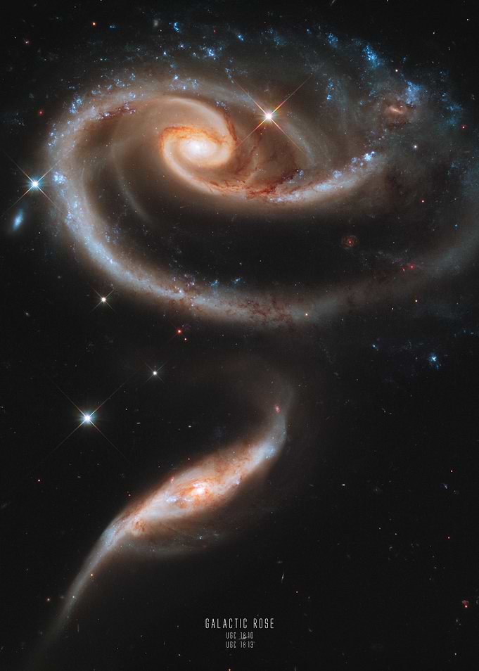 Galactic Rose
