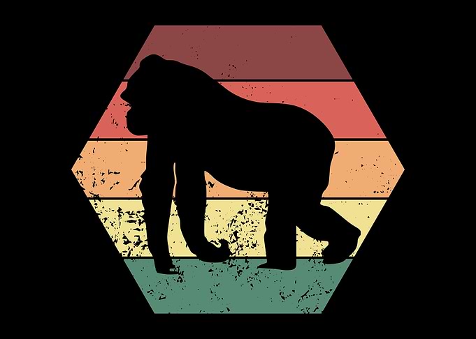 Ape Gorilla Gorillas Apes