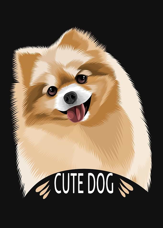 Cute Dog