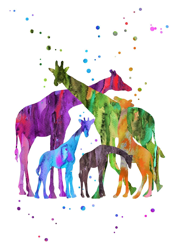 Giraffe family