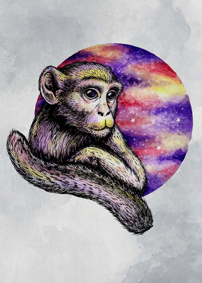 Monkey