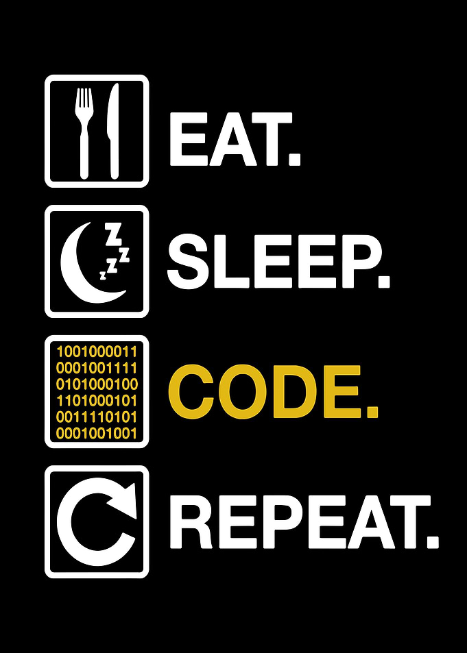 Programmer