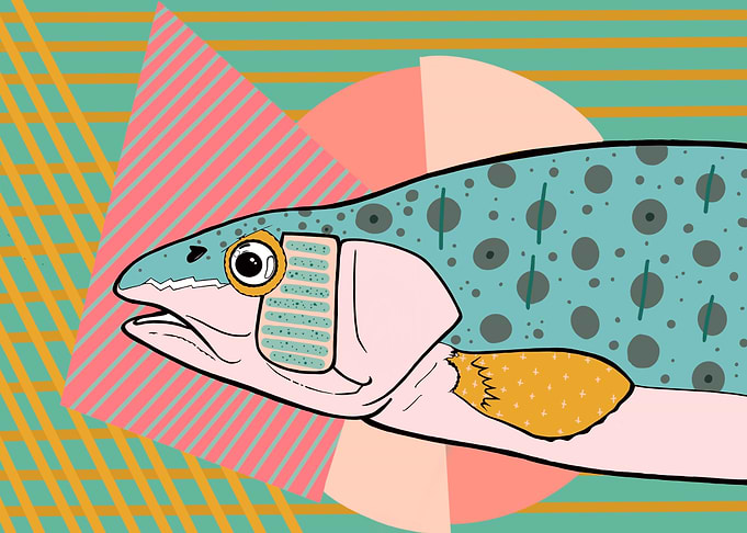 Fish
