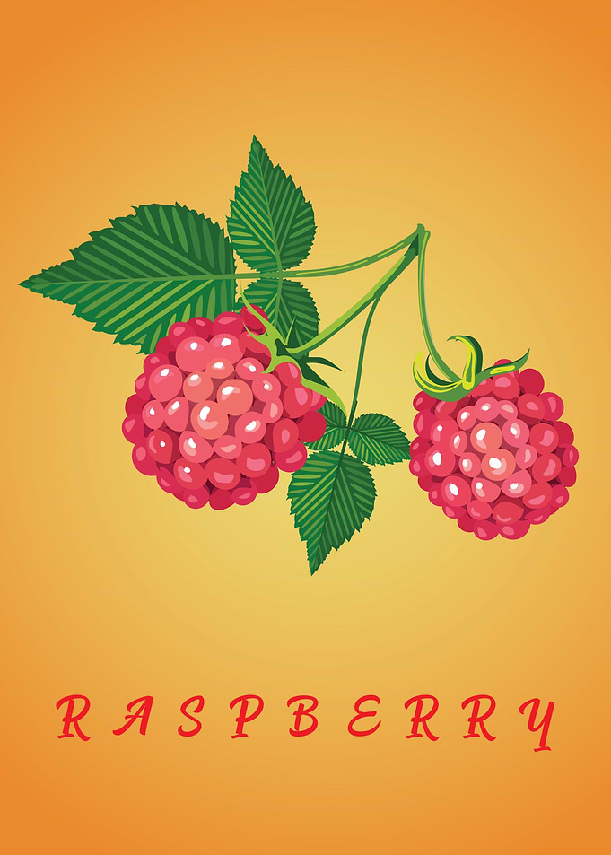 Fruits