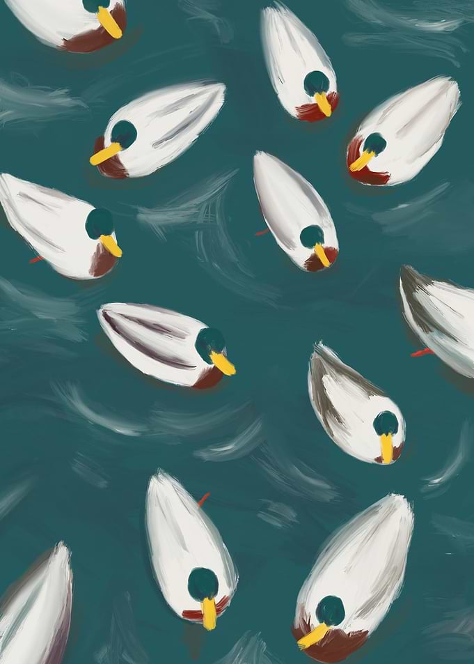 Ducks
