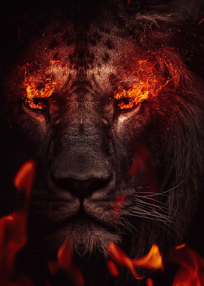 fire lion face work art