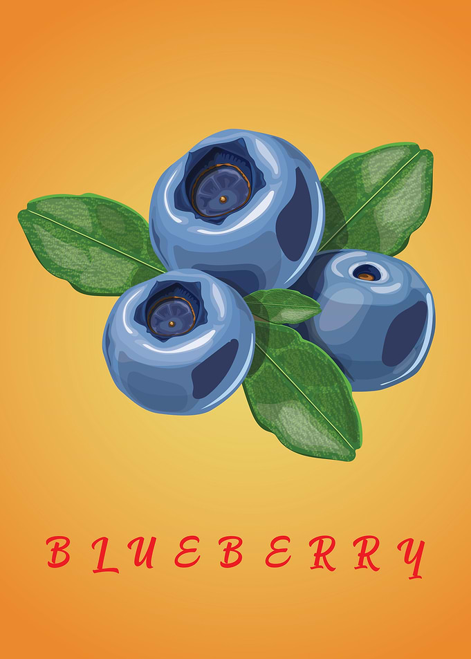 Fruits