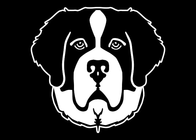 Saint Bernard