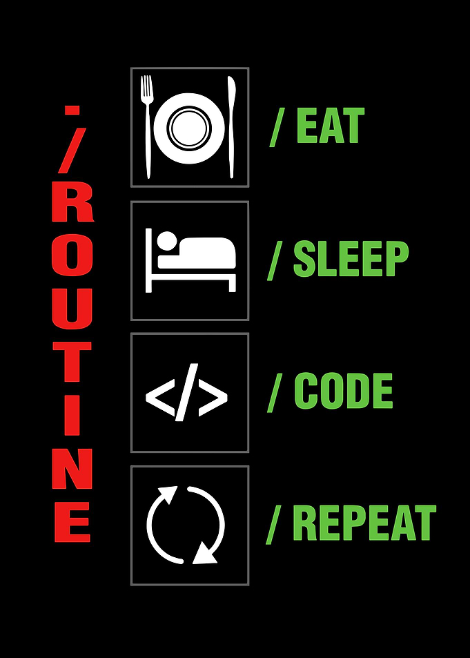 Programmer