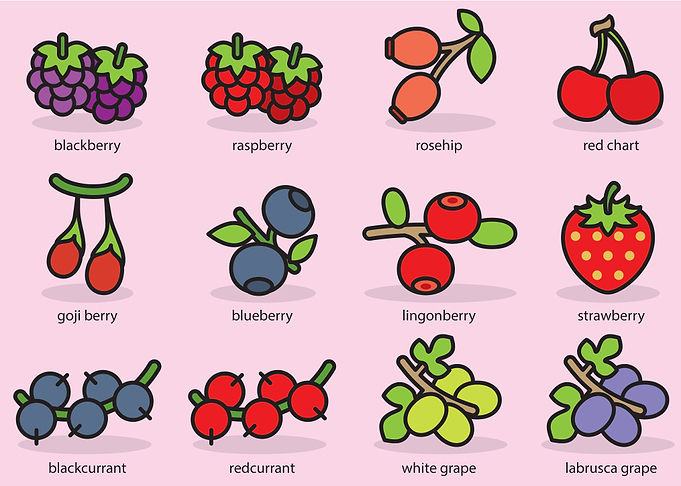 Fruits