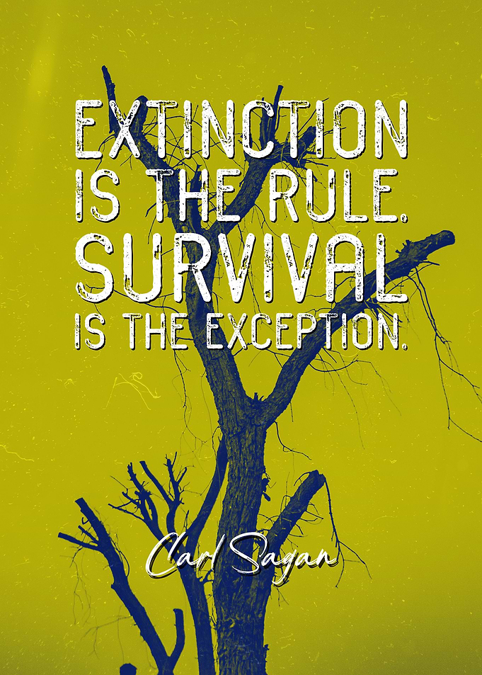Carl Sagan Quote 8