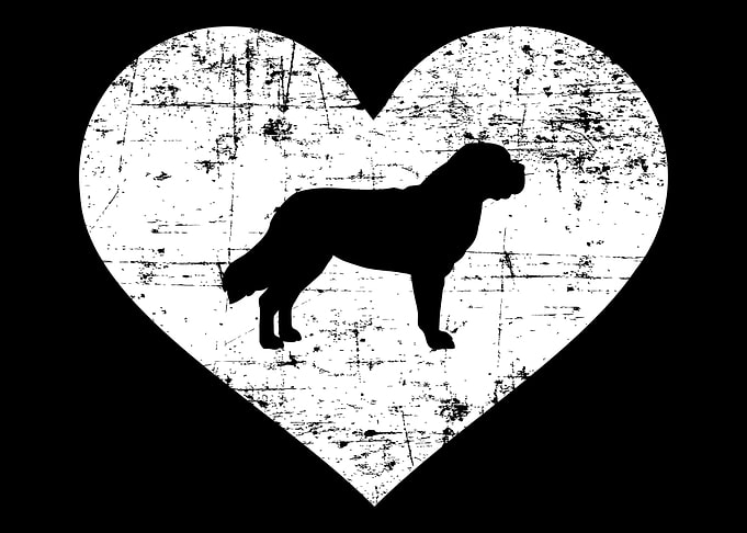 Saint Bernard