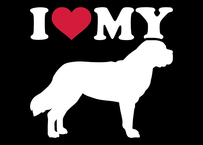 Saint Bernard