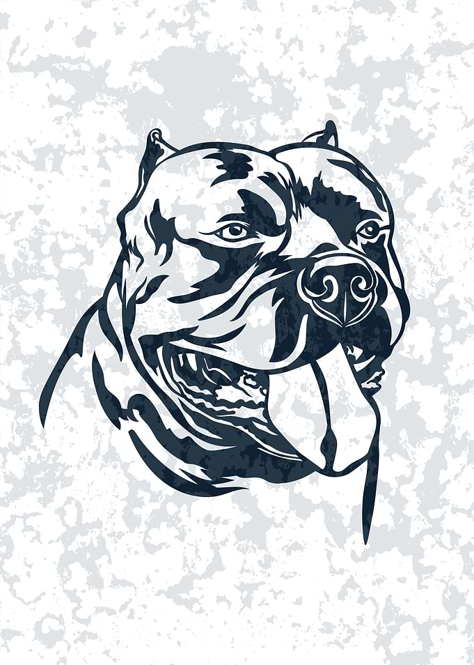 American Bully Dog