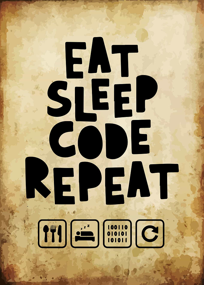 Programmer