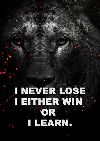 wild lion face Motivation