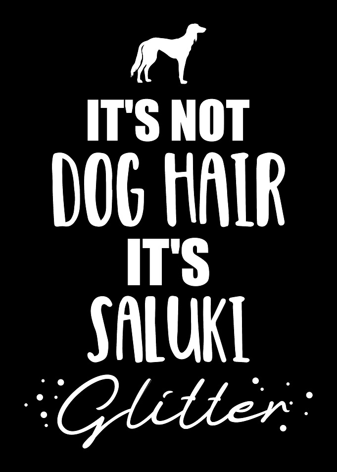 Saluki