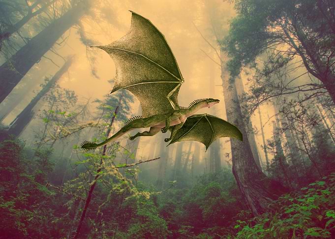 DRAGON