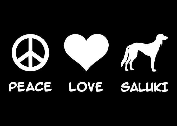 Saluki
