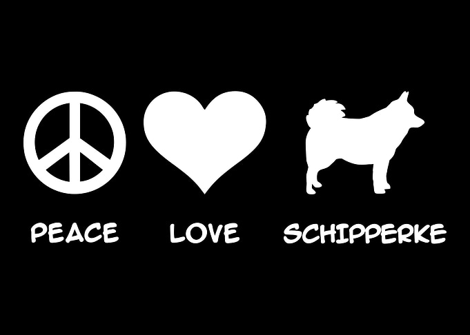 Schipperke