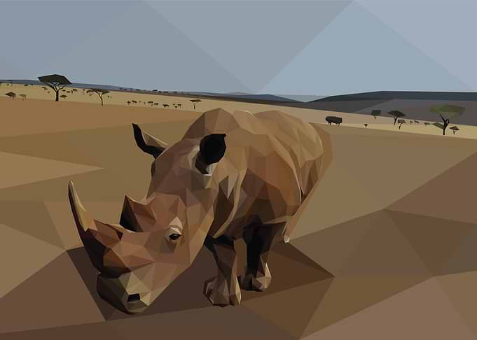 Low Poly African Rhino