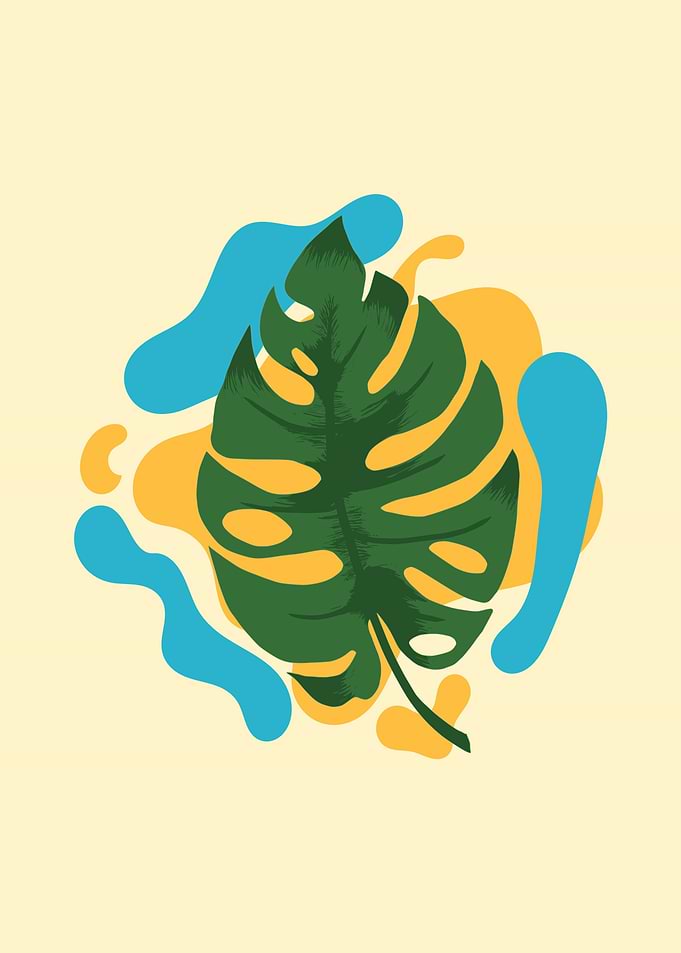 Monsterra leaf