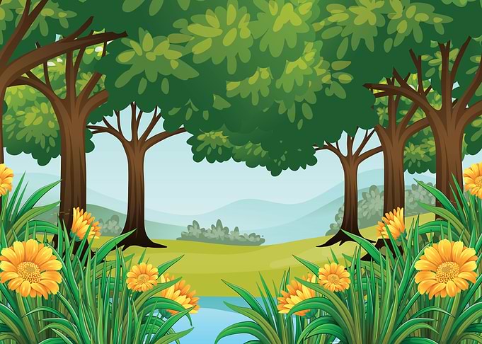 Forest Landscape