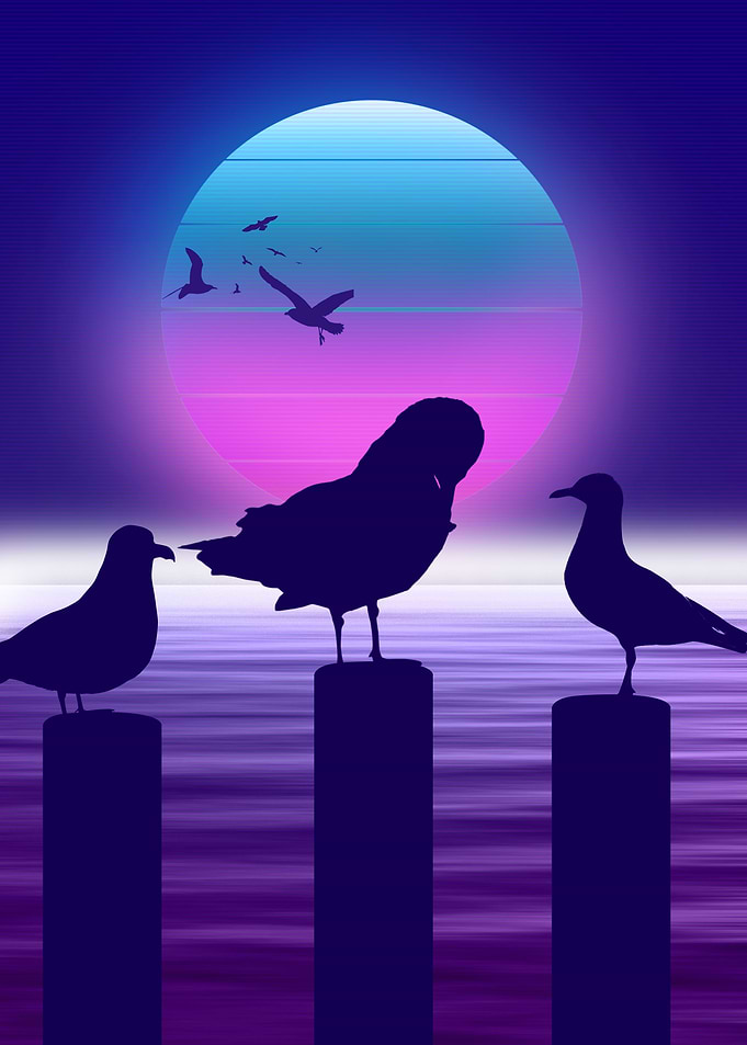 gull synthwave