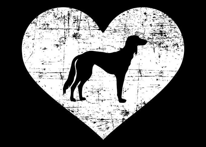 Saluki