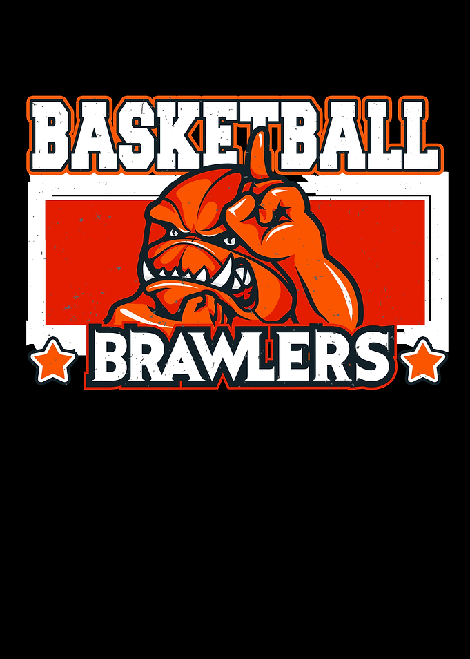 Basketball Brawlers Sports