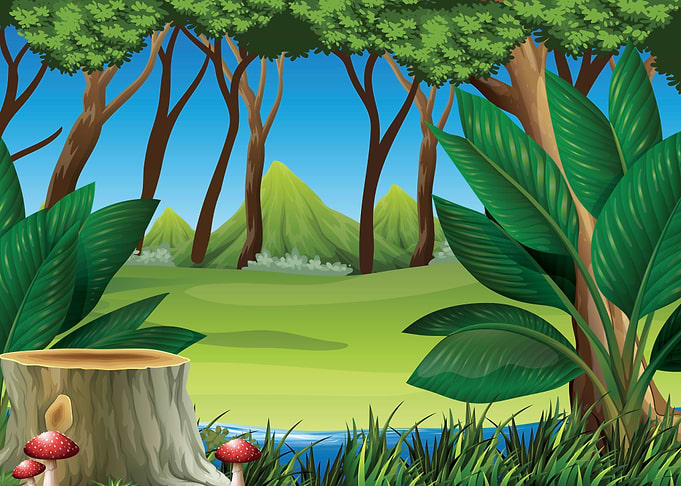 Forest Landscape