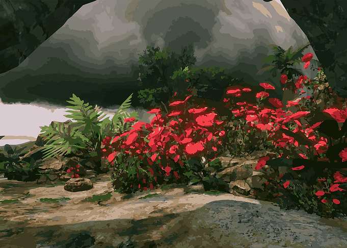Red Flowers