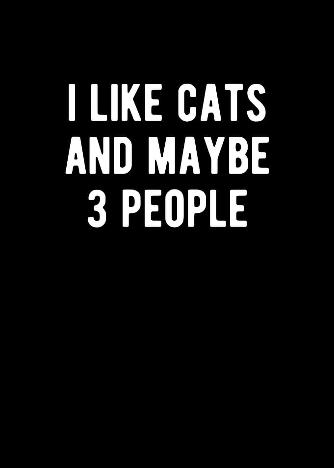 I Like Cats And Maybe 3
