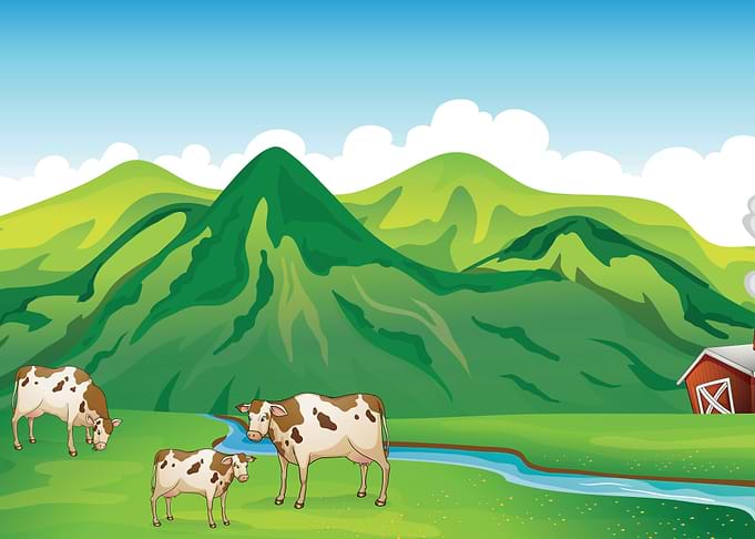 Farm